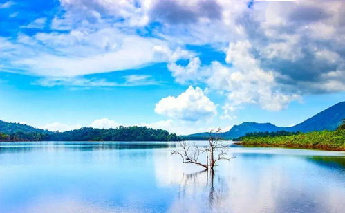 老子 复归正道,万事方清,事事方顺