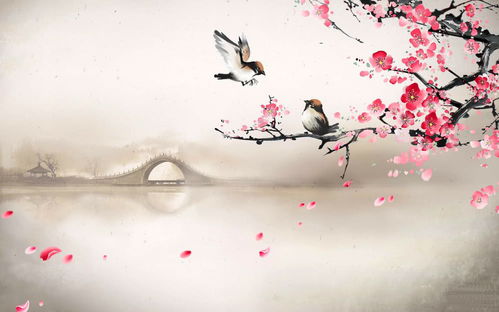 苏东坡最有趣的一首诗,不懂的别解释,看完一笑而过