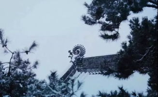 大雪 雪多了韵味,冬便有了诗意