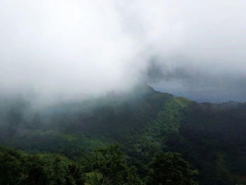 岑溪风物 今身幸误临仙界,暗坐云端乐此行