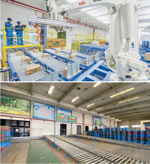 拼多多联手国货品牌安儿乐,云探访 007智能工厂