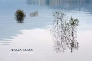 就在成都周边,这个小城竟私藏着小柬埔寨 湖泊 古镇和雪山,景色绝美