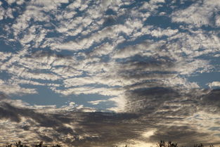 故 乡 的 云专辑 三江源t