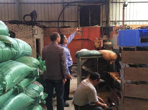 三水区人民政府