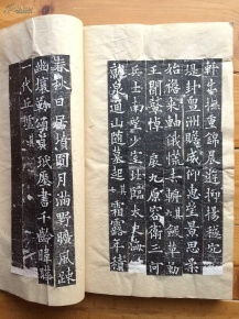 全称为 大唐故特进行右卫大将军兼检校右羽林军仗内供奉上柱国卞国公赠并州大都督泉君墓志铭