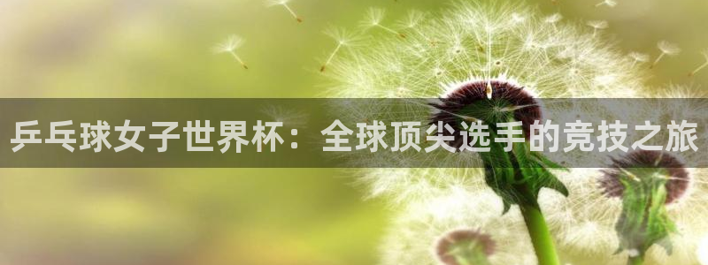 欧洲区世界杯预选赛:乒乓球女子世界杯:全球顶尖选手的竞技之旅
