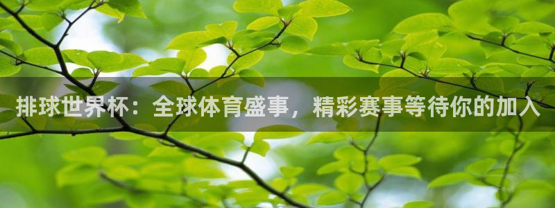 2026年男足世界杯:排球世界杯:全球体育盛事,精彩赛事等待你的加入
