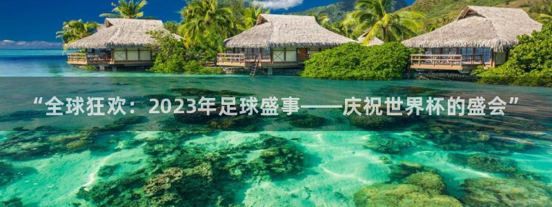 世界杯直播平台:“全球狂欢:2023年足球盛事——庆祝世界杯的盛会”